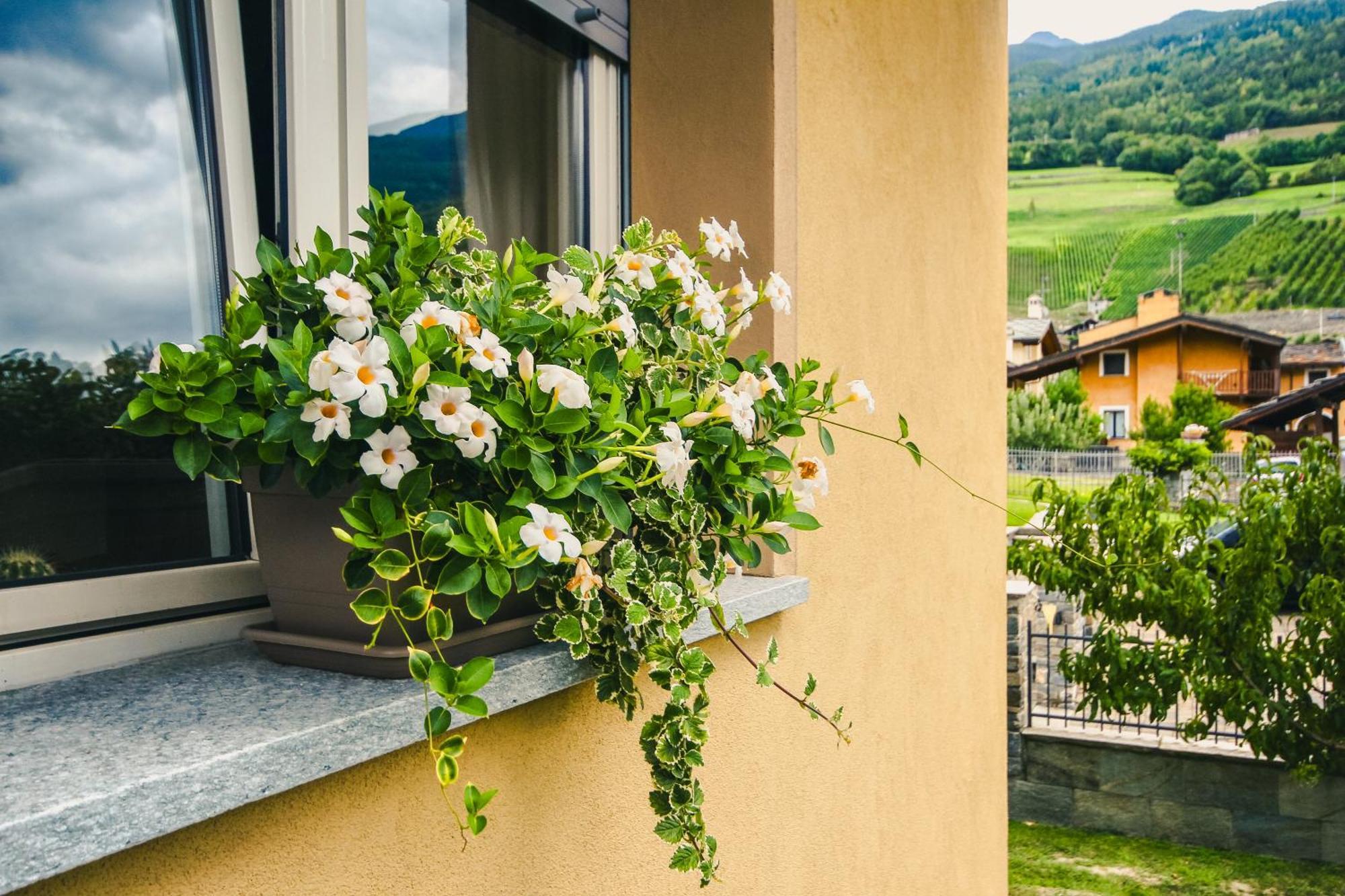 Apartment L'Envers Aosta Bagian luar foto